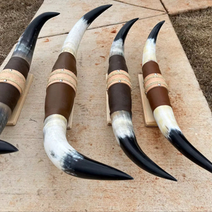 Juego de Cuernos de Toro Montados, Ecológicos, Hechos a Mano, Rústicos, Modernos, con Diseño Animal, Cuernos Pulidos, Decoración del Hogar Estilo Western, Pascua - Product Image 1