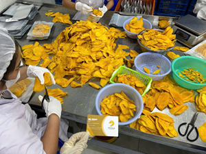 Mango Deshidratado Premium AD, Snack Dulce Deshidratado, Empaque al Vacío a Granel, Origen Vietnam - Product Image 6