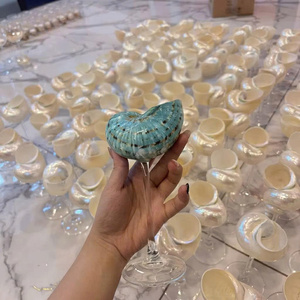 Vidrio Transparente Vietnamita Hecho a Mano con Detalles de Conchas Marinas para Decoración de Mesa, Estilo Costero, Regalos y Exhibiciones - Product Image 6