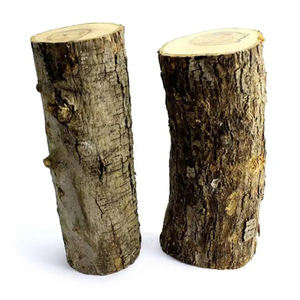 Troncos de madera de eucalipto natural baratos y de gran venta: los mejores troncos de madera de eucalipto - Product Image 4