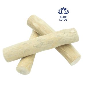 Juguete masticable para perros de alta calidad con forma de árbol de café, promueve el ejercicio de mordeduras y ayuda a reducir el aburrimiento por masticar en perros 2026 - Product Image 1