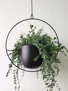 Décoration de chambre et de jardin, vente chaude, parfait pour la décoration, pot de fleurs rond pour planter des fleurs, meilleur prix - Product Image 4
