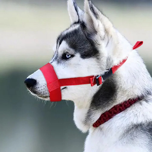 Collar de Adiestramiento para Perros Ajustable de Nailon Morado, Talla Pequeña, Cierre de Hebilla, Estilo Simple, Accesorio para Mascotas para Todas las Estaciones - Product Image 3