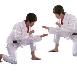 Uniforme de Artes Marciales BJJ Gi 100% Algodón con Logotipo Frontal, Transpirable, Ligero y de Alta Calidad para Adultos - Product Image 2
