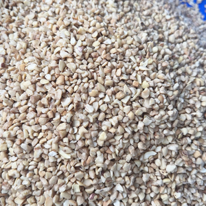 โรงงานที่เชื่อถือได้ ผลิตภัณฑ์เมล็ดแคชู นอยซ์ เดอ คาโช ขายส่งเมล็ดถั่ว ซานติโก ส่งออกทั่วโลก - Product Image 1