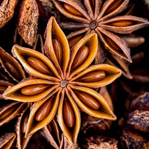 Badiane spéciale d'anis étoilé de haute qualité du Vietnam Vente en gros de l'usine d'épices à saveur chaude (Mme Sam WA: 84971827680) - Product Image 5