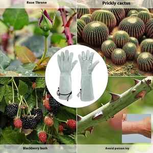Guantes de seguridad para jardinería y guantes de cuero de vaca resistentes a cortes y mordeduras, ropa de trabajo - Product Image 2