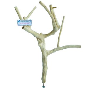 Tendencia 2026: Soporte para Pájaros de Madera de Java, Percha Grande para Jaula de Pájaros, Accesorios para Mascotas de Madera Natural, Venta al por Mayor - Product Image 5