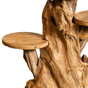 ARTERRA Support de présentation en bois massif artisanal rustique en racine de teck biologique de qualité supérieure pour la décoration intérieure/extérieure - Product Image 3