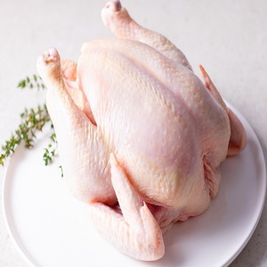 เนื้อไก่แช่แข็งคุณภาพสูง พร้อมการเตรียมที่สะอาดปลอดภัย เหมาะสำหรับธุรกิจอาหาร ผู้ค้าปลีก ร้านอาหาร และโรงแรม - Product Image 4