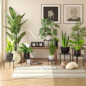 Ensemble de 5 supports de plantes en métal robustes, supports de pots de fleurs multiples, support rond noir pour paniers suspendus et accessoires - Product Image 2