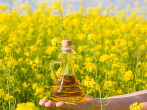 Huile de colza raffinée, huile de canola brute dégommée, huile végétale industrielle de colza - Product Image 6