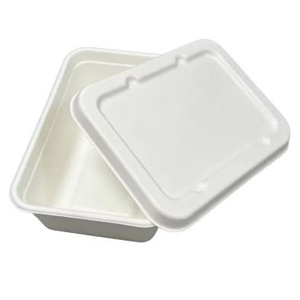 Boîte d'emballage alimentaire en bagasse naturelle non blanchie 750 ml anti-fuite rectangulaire avec couvercle pour livraison de repas à emporter – Modèle 2026 - Product Image 1