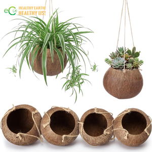 Jaula/Nido para Pájaros de Vidrio Simple y Pequeño de Alta Calidad, Ecológico para Uso en Exteriores, Muestra Gratuita del Fabricante Eco2go Vietnam - Product Image 1