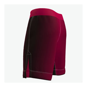 Pantalones Cortos de MMA para Hombre, Diseño Moderno, Económicos, de Alta Calidad, con Logotipo/Colores Personalizados, en Tendencia, Venta Caliente, Ligeros - Product Image 4