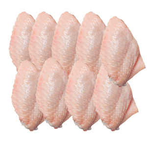 Alas de pollo congeladas (parte media) / Alas de pollo congeladas (MJW) / Proveedores internacionales de alas de pollo - Product Image 3