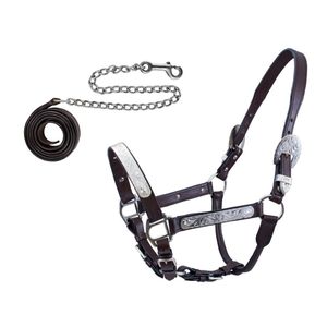 Cabestro de Cuero Genuino para Exhibición con Placas Grabadas y Cadena de Guía, Conjunto Premium Ajustable para Caballos, Aperos Ecuestres - Product Image 5