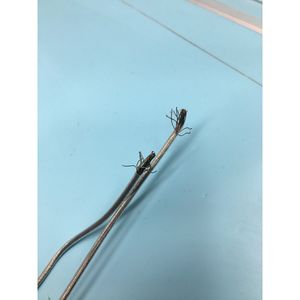 2 NEC 480232-E Chauffage au quartz, réservoir d'alimentation, 1,5 kW - Équipements et pièces semi-conducteurs d'occasion fiables à l'échelle mondiale chez - Product Image 6