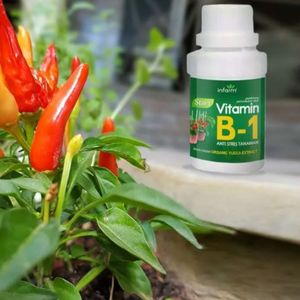 High Quality <b>Vitamin</b> B1 Plant Nutrient <b>Liquid</b> Organic Fertilizer Anti Stress for Plant Growth & Root Development - Product Image 5