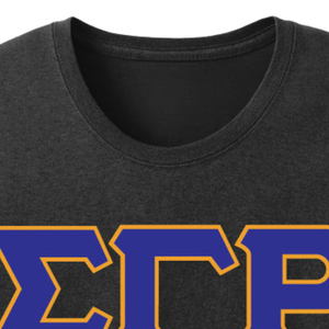 Camiseta Bordada con las 3 Letras Griegas de Sigma Gamma Rho, Camiseta Personalizada de la Hermandad, Algodón, Casual, Ropa Universitaria, Moda Urbana, Venta al Por Mayor, OEM - Product Image 5