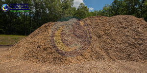 เศษไม้กระถินเหลืองคุณภาพสูง วัสดุเชื้อเพลิงชีวมวล เยื่อกระดาษ จำหน่ายจำนวนมากจากโรงงานโดยตรง แบรนด์ NGOC CHAU รุ่น Model จากเวียดนาม - Product Image 6