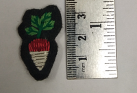 Patch en velours brodé à la main avec motif de carotte personnalisé pour chapeaux - Broderie artisanale 3D de luxe
