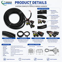 Faisceau de câbles automobile étanche sur mesure pour système électrique de véhicule 12V/24V