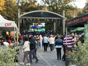 Estructura de armazón de aluminio para techos curvos SGAIER, estructura de armazón para eventos, armazón de aluminio para exteriores - Product Image 4