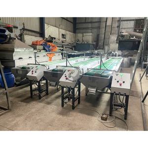 Convoyeur de tri de noix de cajou réglable TTQ, bande de tri de qualité alimentaire personnalisée pour ligne de transformation agricole pour noix de cajou - Product Image 1