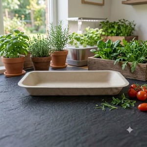 Assiettes rectangulaires biodégradables en bagasse de canne à sucre de 7 pouces, écologiques et jetables, en gros - Product Image 2