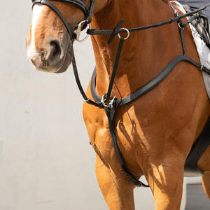 แผ่นรองอกม้าแบบแข็งแรง ทนทาน ออกแบบมาเพื่อความมั่นคงของอานม้า เหมาะสำหรับการฝึกขี่และการใช้งานสำหรับนักขี่ม้ามืออาชีพ - Product Image 6