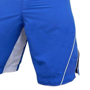 Pantalones Cortos de Lucha de Alta Calidad, Pantalones Cortos de Boxeo MMA, Diseña Tu Propio Diseño, Ropa Deportiva Personalizada, Pantalones Cortos de Artes Marciales Mixtas - Product Image 2