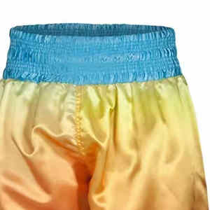 Pantalones Cortos de Boxeo Personalizados Multicolores, Pantalones Cortos de Combate de Calidad para Hombre, Precio al por Mayor, Logotipo Personalizado - Product Image 4