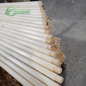 Balai et pelle 2-en-1 ergonomiques et portables en PVC avec manche en bois naturel du Vietnam, en eucalyptus, écologiques pour la maison - Product Image 1