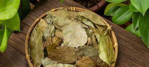 Thé en sachets Tree Tea Cup - Feuilles de corossol séchées de qualité supérieure, issues de récoltes durables, pour la perte de poids, marque EXPAD, durée de conservation de 12 mois, 0,1 kg - Product Image 5