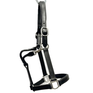 Harnais de cheval en cuir ferme, têtière structurée, réglable et durable pour l'entraînement, le pâturage et la manipulation quotidienne - Product Image 4