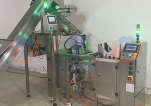 Máquina de embalaje Doypack completamente automática, para Chile, café, leche en polvo, sellado de embalaje de llenado de bolsas prefabricadas de 50g-500g - Product Image 4
