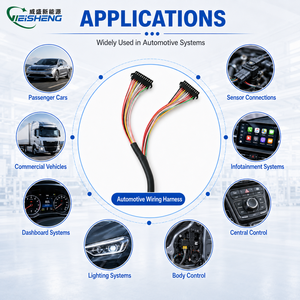 Harnais de câblage automobile sur mesure, conforme ROHS et REACH, isolation PVC/PTFE, indice de protection IP66, pour applications électroniques automobiles - Product Image 2