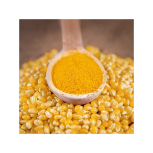 Farine de Gluten de Maïs de Qualité Supérieure, Service OEM, Vente en Gros, Exportation en Vrac, Qualité Alimentaire Animale Premium, Stock Prêt à l'Expédition - Product Image 2