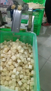 Canne à sucre surgelée fraîchement récoltée pour les bars à jus, les restaurants et les marchés alimentaires importés, procédé IQF, emballage en vrac - Product Image 5