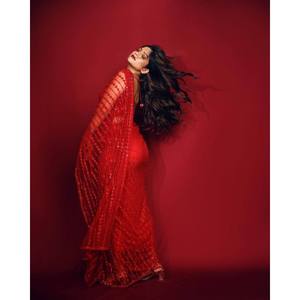 Hermoso Traje de Novia, Elegante Sari con Lentejuelas y Bordado para Fiestas - Product Image 2