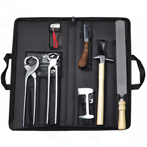 Kit de fermeur professionnel haute performance, outils de coupe de pointe. Le kit de fermeur comprend tous les instruments de sablage et de soin des sabots. - Product Image 2