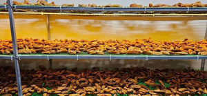 Plátano Seco Vietnamita Dulce y Masticable de Alta Calidad, Sin Azúcar Añadido, Snack de Fruta Natural y Saludable, Empaque a Granel, Servicio OEM de Fábrica - Product Image 4
