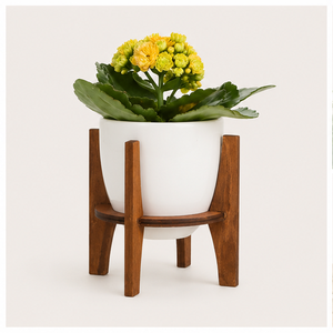 Wholesale Eco-Friendly Modern Wood Plant Stand Solid Acacia Wood Indoor Flower <b>Pot</b> <b>Holder</b> for Living Room Custom Logo - Product Image 5