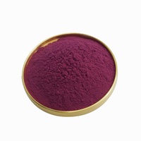Bubuk Buah Ceri Berkualitas Tinggi, Bubuk Ceri Hitam/Merah Kering Semprot untuk Minuman/Smoothie/Kue