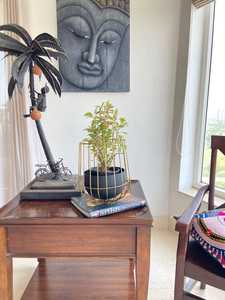 Modern Gold Plated Iron Plant Stand Black Pot Indoor Desktop Planter for Green Plants Minimalist Design Jaffs Exports JE2229 - Product Image 5