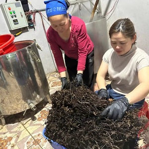 Premium <b>Dried</b> <b>Grass</b> Jelly Herbal Jelly Beverages Dessert Cooling Refreshing High Fiber Supports Healthy VietDelta Brand - Product Image 1