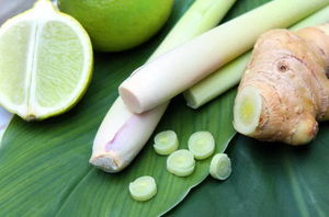 Extracto de caña de azúcar premium de Vietnam con hierba de limón, jengibre y lima para creaciones de bebidas innovadoras - Product Image 3