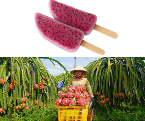 Approvisionnement d'usine du Vietnam Qualité supérieure Offre spéciale Fruit du dragon congelé en vrac - Product Image 2
