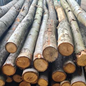 Madera de Pino y Abeto Ruso de Alta Calidad, Tablas de Madera con Bordes, Troncos de Madera Blanda, Más Vendidos - Product Image 2